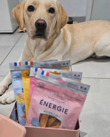 MARLY&DAN Energy, XS-XL, Somon, punguță recompense funcționale fără cereale câini, activitate intensă, 80g [8]