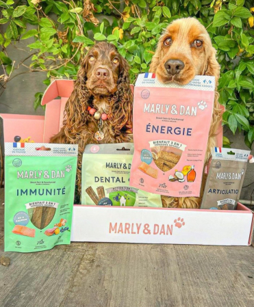 MARLY&DAN Energy, XS-XL, Somon, punguță recompense funcționale fără cereale câini, activitate intensă, 80g [9]