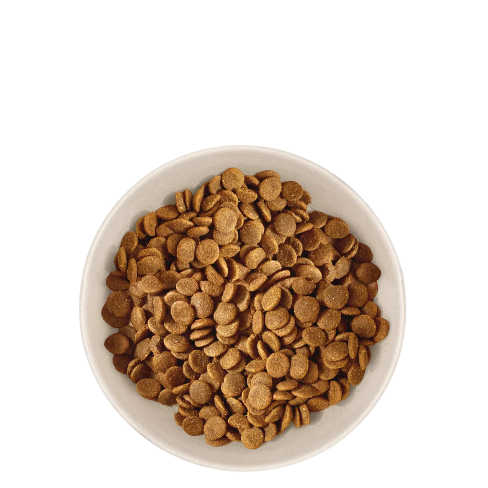 MARLY&DAN HRANA USCATA PENTRU CAINI ADULTI DE TALIE MEDIE 4kg [7]