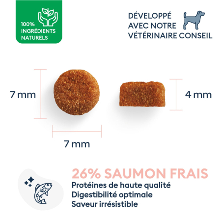 MARLY&DAN HRANA USCATA PENTRU CAINI JUNIORI DE TALIE MICA 4kg [3]