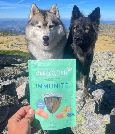 MARLY&DAN Immunity, XS-XL, Somon, punguță recompense funcționale fără cereale câini, sistem imunitar, 80g [5]