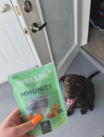 MARLY&DAN Immunity, XS-XL, Somon, punguță recompense funcționale fără cereale câini, sistem imunitar, 80g [3]