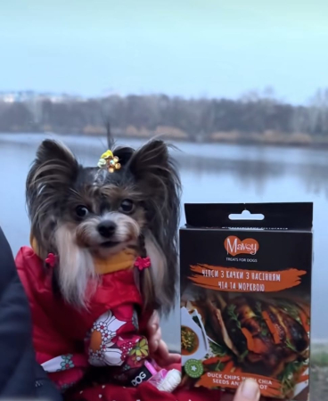 Mavsy chipsuri de rață cu semințe de chia și morcovi [1]