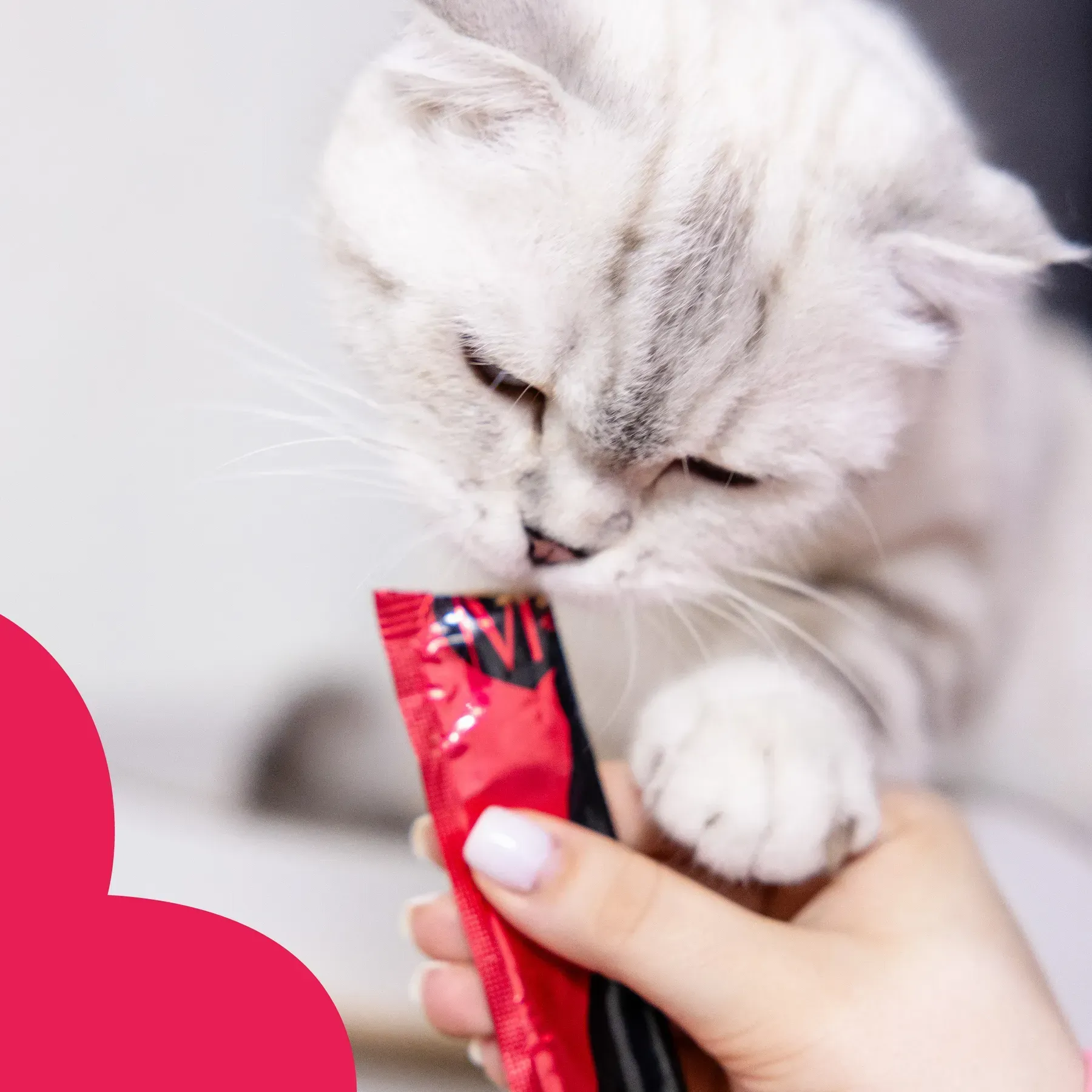 Mavsy pateu de piept de rață cu sufleu de merișoare și cimbru [1]