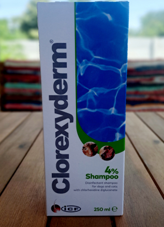 CAINI - Sampon ICF Clorexyderm 4% Caine sau Pisica, 250ml