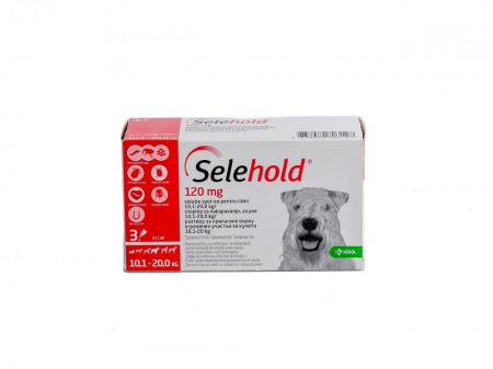 Deparazitari Caini - Selehold Dog 240 mg antiparazitar extern si intern caini talie medie (10,1 - 20kg), 1 pipeta