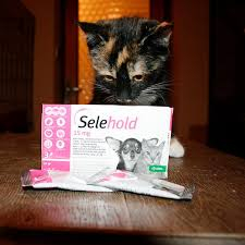 Selehold Dog 60 mg antiparazitar extern si intern caini si pisici cu greutate mai mica sau egala cu 2,5 kg ,1 pipete [0]