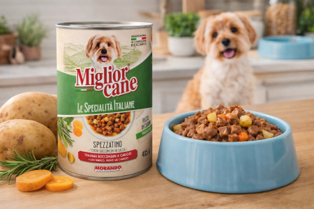 Spezzatino – Bucăți mici în sos cu carne de vită, cartofi și morcovi [6]