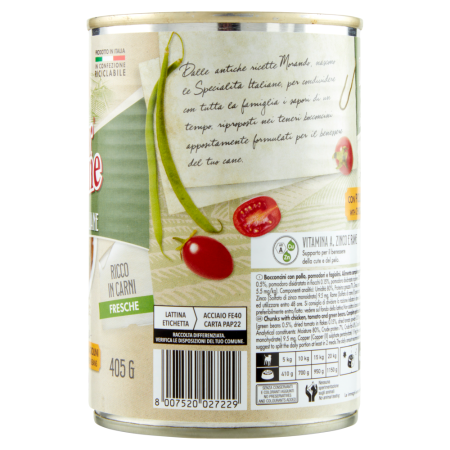 Spezzatino (tocană) – Bucăți într-un sos cu pui, roșii și fasole verde [2]