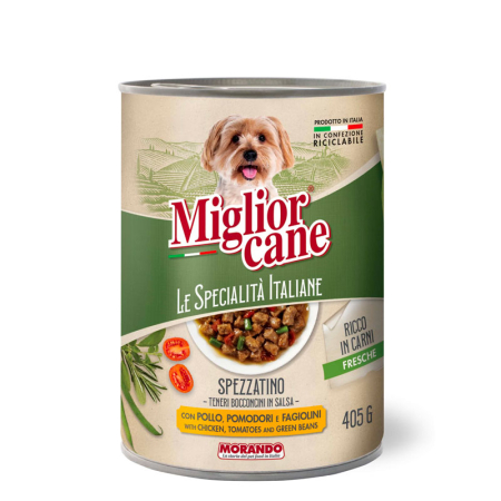 CAINI - Spezzatino (tocană) – Bucăți într-un sos cu pui, roșii și fasole verde
