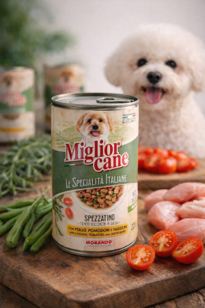 MORANDO - Miglior cane. Spezzatino (tocană) – Bucăți într-un sos cu pui, roșii și fasole verde