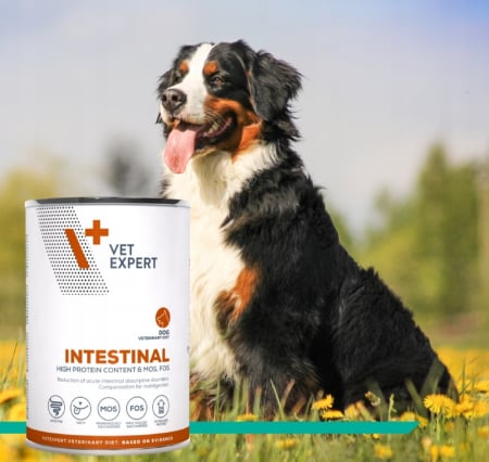 DIETE VETERINARE - UMED INTESTINAL, 400 g