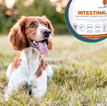 UMED INTESTINAL, 400 g [2]