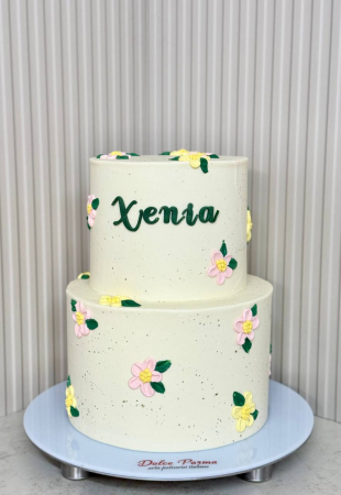 Tort pentru Botez - B 47