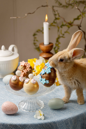 Produse Pascale - Сюрпризный зайчик 65 гр