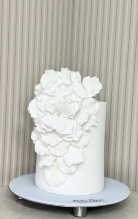 Tort la comandă - N 66