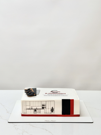 Tort Corporativ - Tort Corporativ CR 44