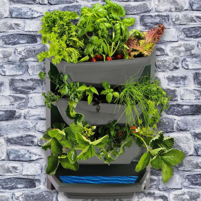 Gradina Verticala Juwel Base Element, 48 x 24 x 64 cm - Gri [2]