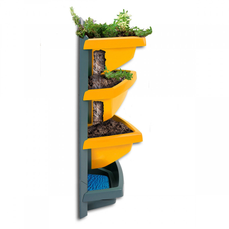Gradina Verticala Juwel Base Element 48 x 24 x 64 cm - Galben [2]