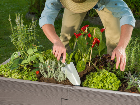 Set extensie pentru jardiniera Juwel Timber, 2 elemente [3]