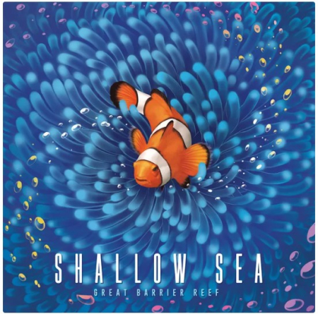 Produse noi - Shallow Sea (Limba Engleza)