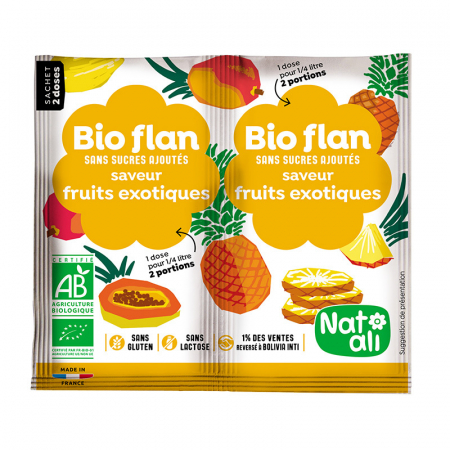 Produse - Budinca de fructe exotice, bio, 2x 4g, Nat-ali                                                      