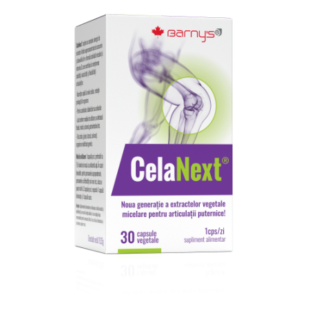 Performanta Sportiva - CelaNext