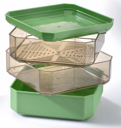 Produse - Germinator cu 2 tavite Germline