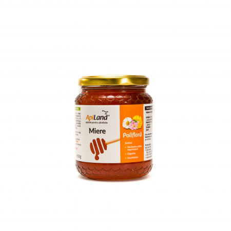 Imunitate - Miere Poliflora 1 kg, Apiland