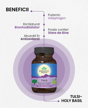 Tulsi (Busuioc Sfant) | Minte Calma & Ingrijire Sistem Respirator, 60 capsule [1]
