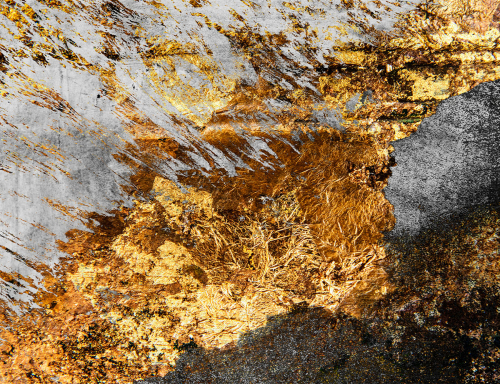Abstract