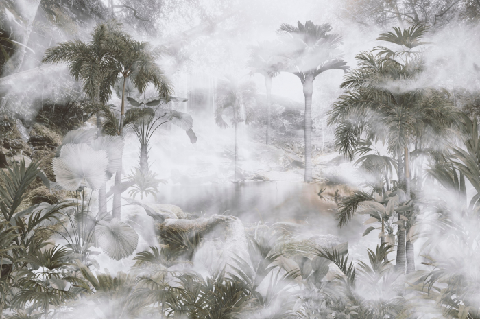 Fototapet fara imbinari Foggy Tropics [3]