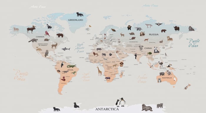 Fototapet fara imbinari Cartoon World Map [2]