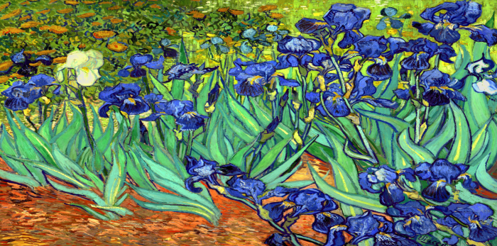 Tablou Pe Panza Vincent van Gogh - Irises [2]