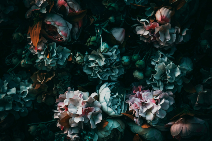 Fototapet fara imbinari Flowers In The Dark [3]