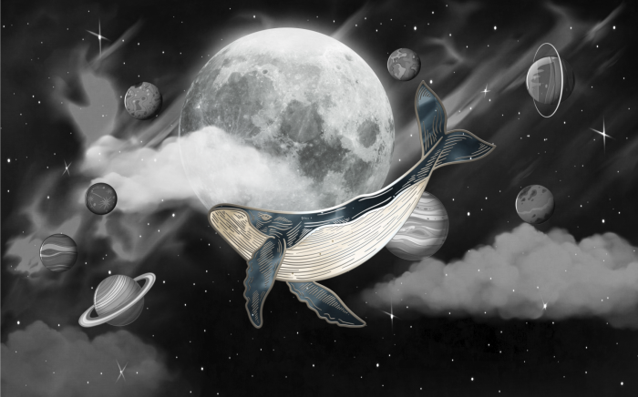 Tapet fara imbinari Dream Fly [4]