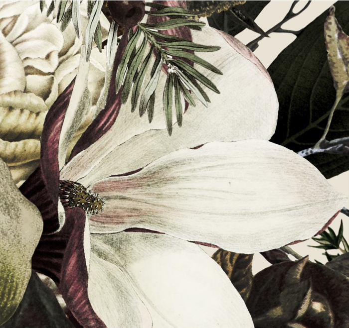 Fototapet fara imbinari Vintage Flowers [4]