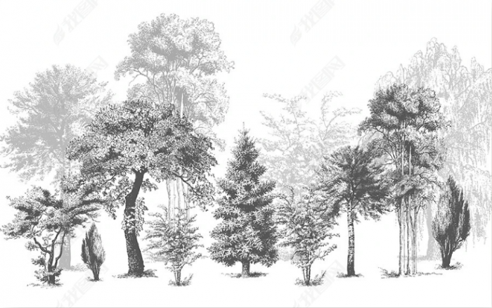 Fototapet fara imbinari Dream Forest Black and White [2]
