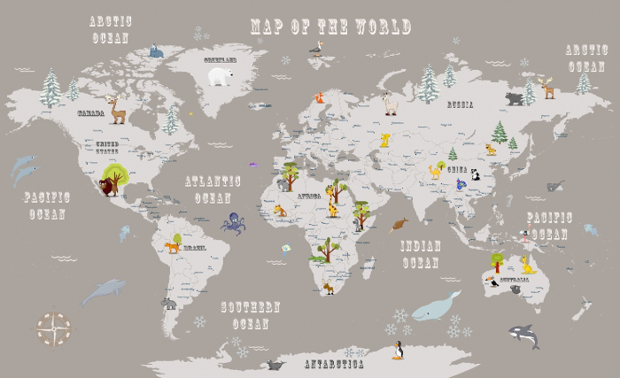 Fototapet fara imbinari Map Of The World [3]