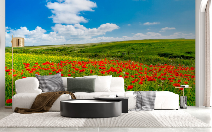 Fototapet fara imbinari Field Of Poppies [2]