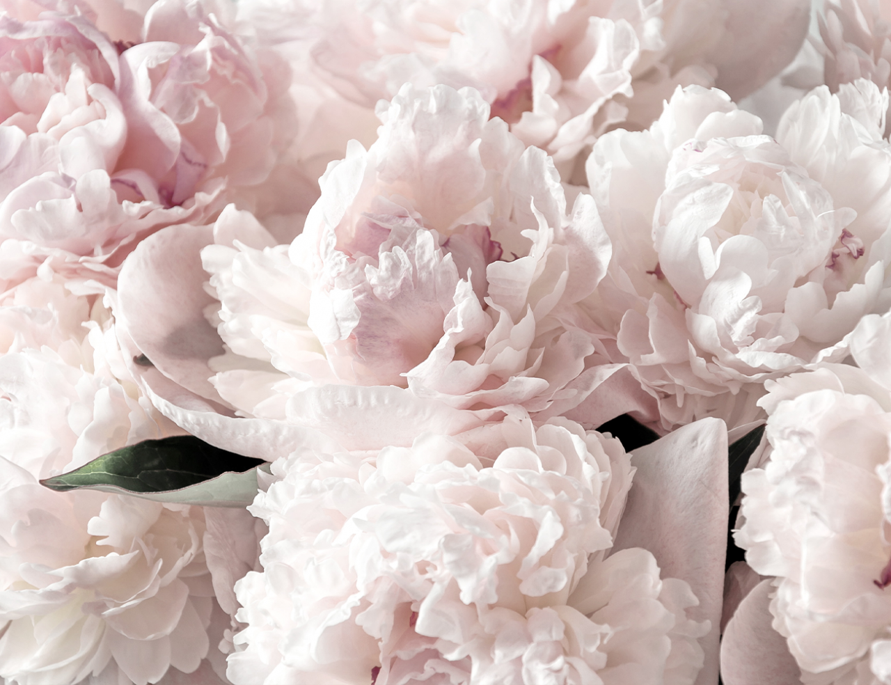 Autocolant Mobila Pentru Copii - Blushing Bouquet [2]