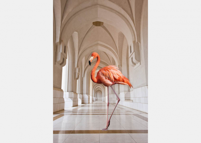Fototapet Flamingo on the Hallway [2]