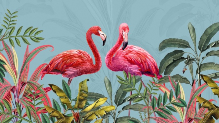 Fototapet Flamingo [2]
