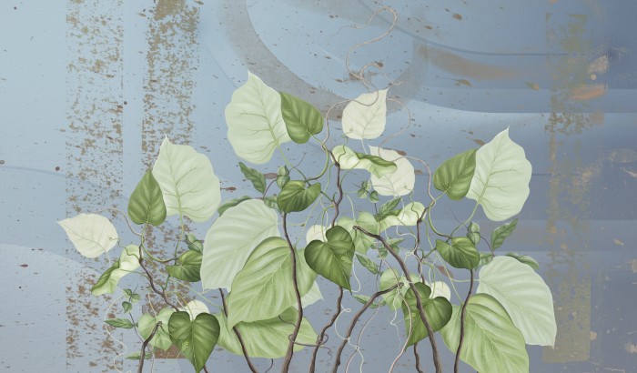 Fototapet fara imbinari Beautiful Painted Flowering Leaves [3]