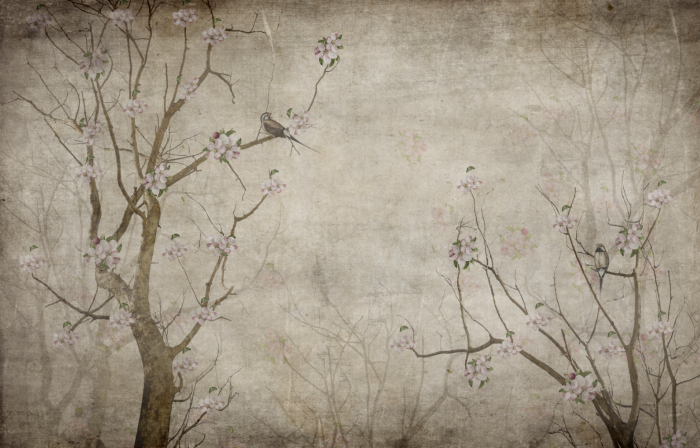 Fototapet fara imbinari Vintage Autumn Forest [3]