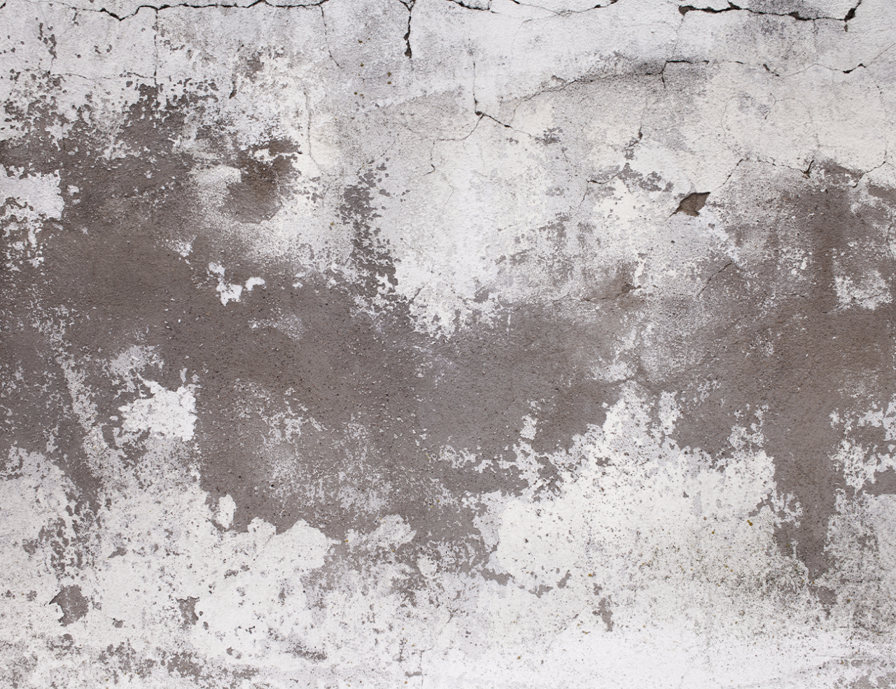 Fototapet Textura Beton Modern pentru Dormitor și Living - Alb Negru Grunge [4]