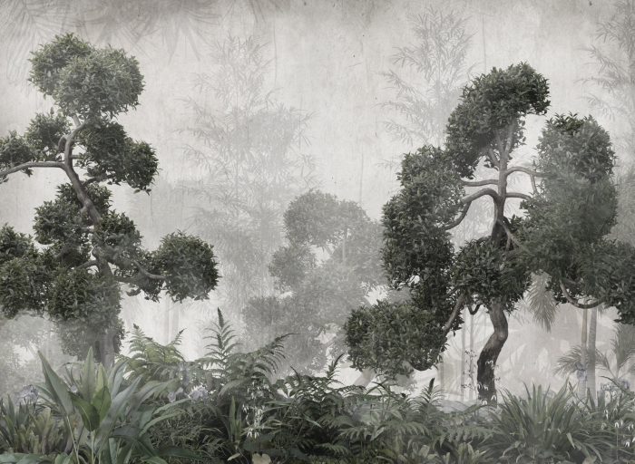 Fototapet fara imbinari Rainforest Foggy [3]