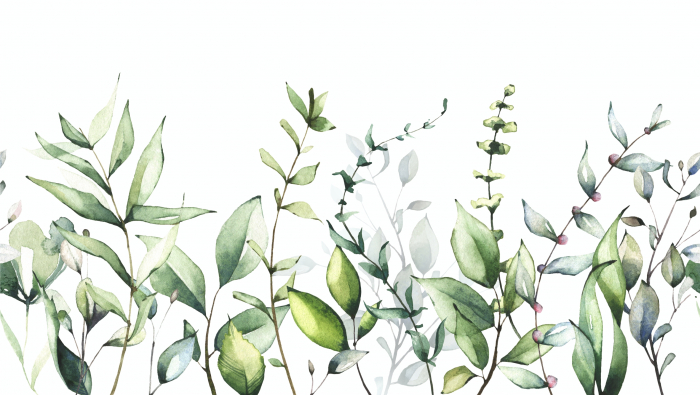 Fototapet Watercolor Fowers [2]