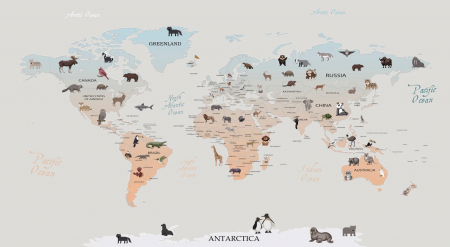 Fototapet fara imbinari Cartoon World Map [1]