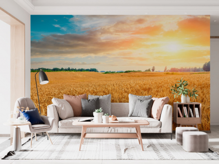 Peisaj - Fototapet fara imbinari Wheat Crop Field Sunset Landscape
